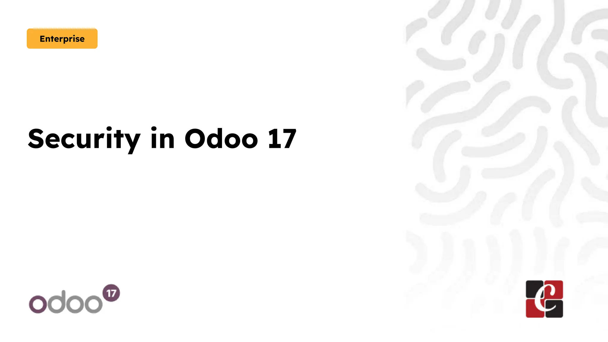 Security in Odoo 17
Enterprise
 