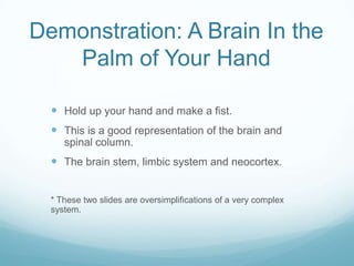 Demonstration: A Brain In the
Palm of Your Hand
 Hold up your hand and make a fist.
 This is a good representation of the brain and
spinal column.

 The brain stem, limbic system and neocortex.
* These two slides are oversimplifications of a very complex
system.

 