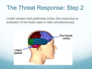 The Threat Response: Step 2
Limbic system and prefrontal cortex (the executive or
evaluator of the brain) take in data simultaneously.

 