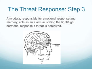 The Threat Response: Step 3
Amygdala, responsible for emotional response and
memory, acts as an alarm activating the fight/flight
hormonal response if threat is perceived.

 