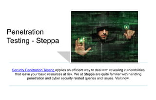 Security Penetration Testing | PPTX