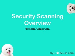 Security Scanning
Overview
Tetiana Chupryna
Feb 16 2018Kyiv
 