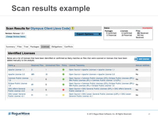 Scan results example
28© 2015 Rogue Wave Software, Inc. All Rights Reserved.
 