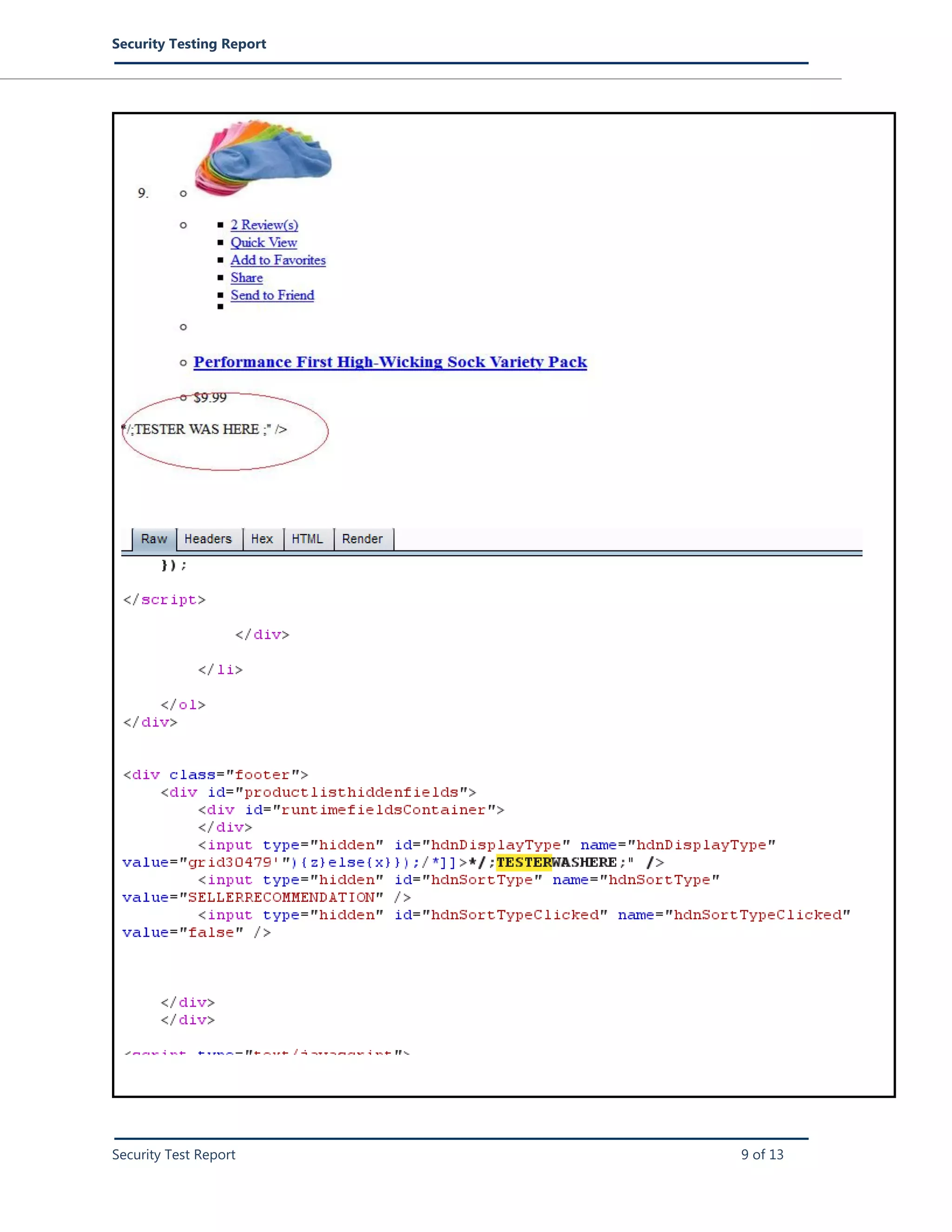 Security Testing Report
Security Test Report 9 of 13
 