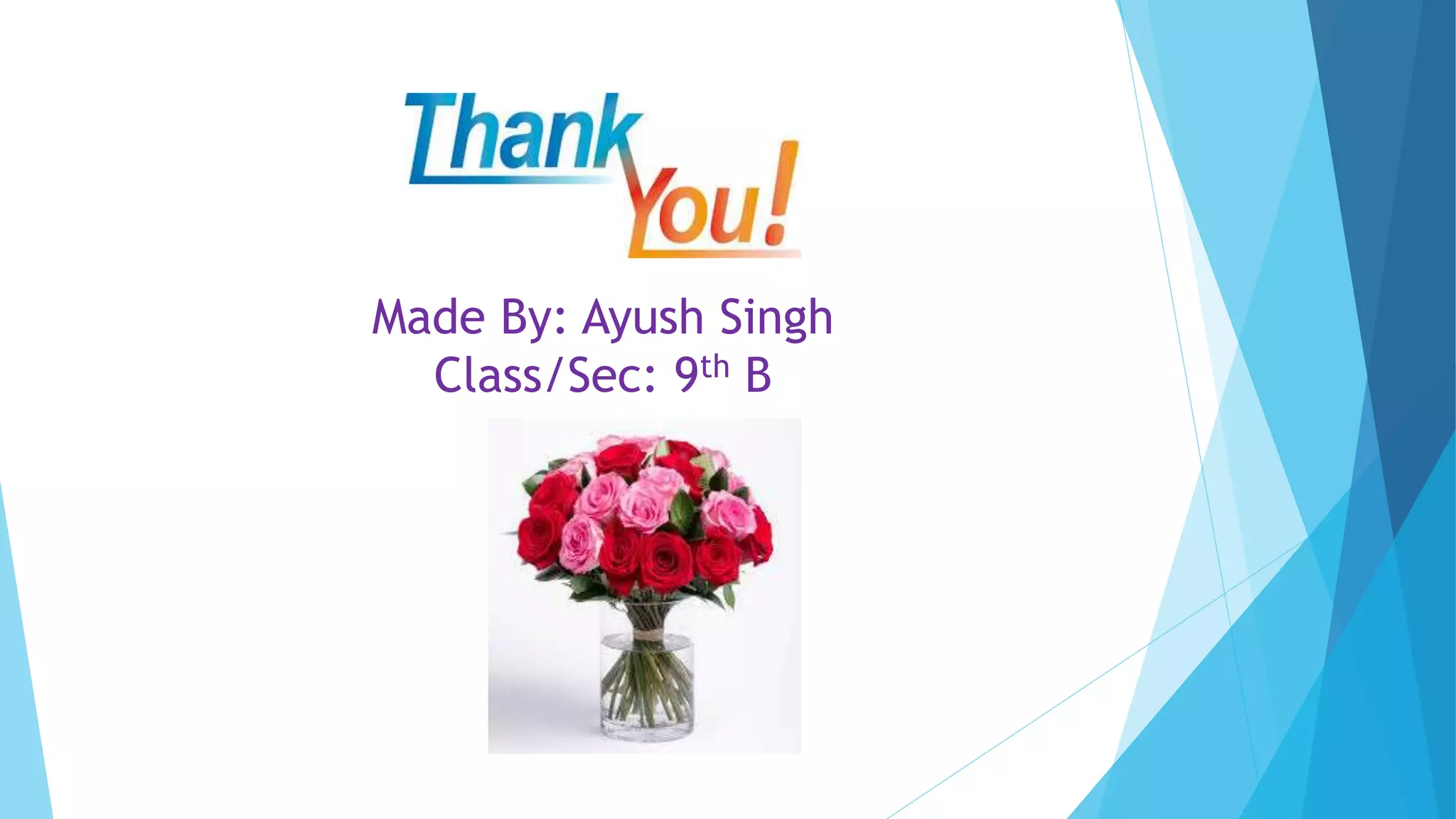 Made By: Ayush Singh
Class/Sec: 9th B
 