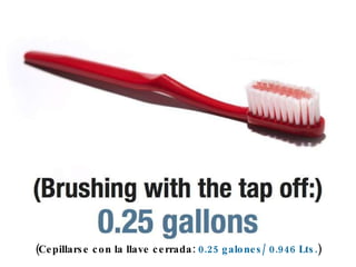 (Cepillarse con la llave cerrada:  0.25 galones/ 0.946 Lts. ) 
