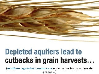 ( Acuíferos agotados conducen a  recortes en las cosechas de granos...) 