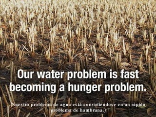 (Nuestro problema de agua está convirtiéndose en un rápido problema de hambruna.) 