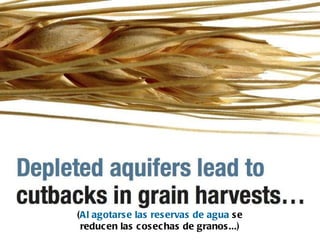 ( Al agotarse las reservas de agua  se reducen las cosechas de granos...) 