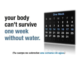 (Tu cuerpo no sobrevive  una semana sin agua .) 