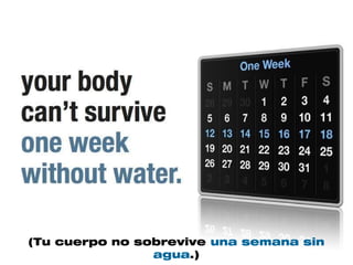(Tu cuerpo no sobrevive una semana sin
                agua.)
 