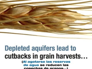 (Al agotarse las reservas
 de agua se reducen las
 