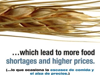 (...lo que ocasiona la escasez de comida y
             el alza de precios.)
 