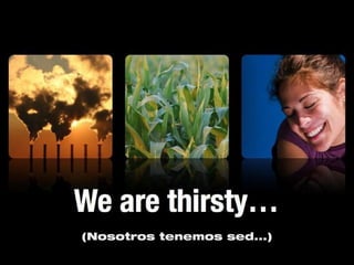 (Nosotros tenemos sed...)
 