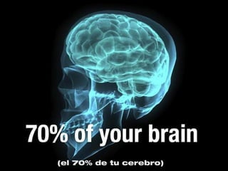 (el 70% de tu cerebro)
 