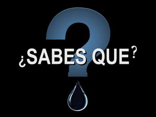 ¿ SABES QUE ? 