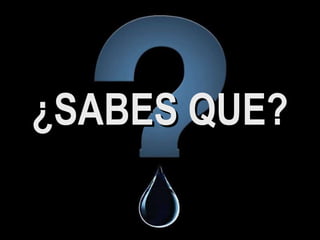 ¿SABES QUE? 