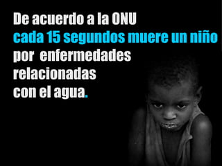De acuerdo a la ONU cada 15 segundos muere un niño por  enfermedades  relacionadas  con el agua . 