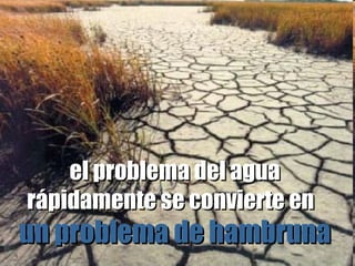 el problema del agua rápidamente se convierte en  un problema de hambruna 