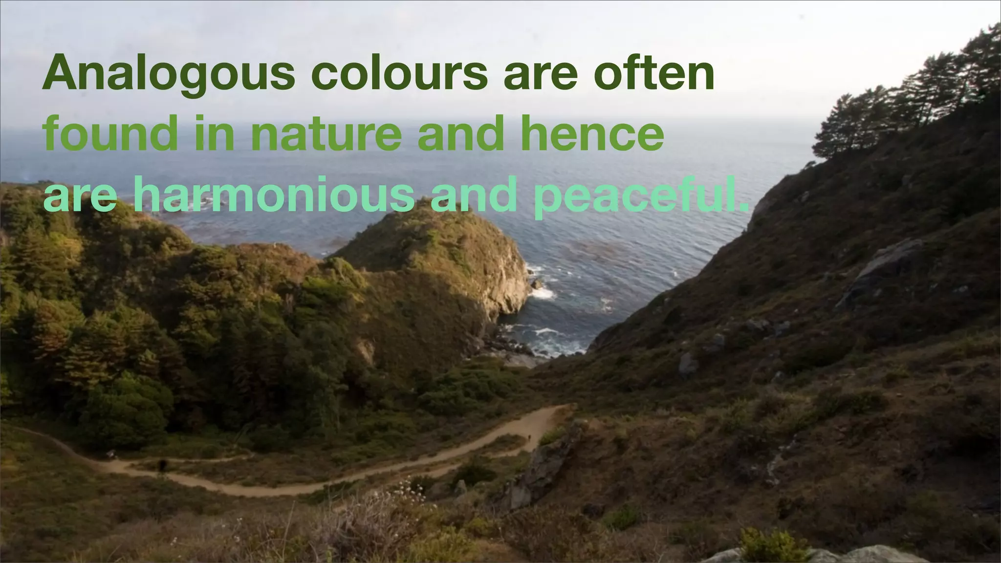 Analogous colours are often
found in nature and hence
are harmonious and peaceful.
 