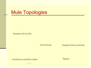31© 2005
Mule Topologies
Enterprise Service Bus
Client/Server and Hub n' Spoke
Peer Network
Pipeline
Enterprise Service Network
 