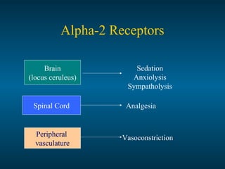 Alpha-2 Receptors
Brain
(locus ceruleus)
Spinal Cord
Peripheral
vasculature
Sedation
Anxiolysis
Sympatholysis
Analgesia
Vasoconstriction
 