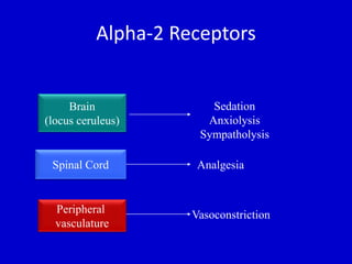 Alpha-2 Receptors 
Brain 
(locus ceruleus) 
Spinal Cord 
Peripheral 
vasculature 
Sedation 
Anxiolysis 
Sympatholysis 
Analgesia 
Vasoconstriction 
 