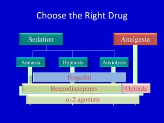 Choose the Right Drug 
Sedation Analgesia 
Amnesia Hypnosis Anxiolysis 
Propofol 
BenPzaotideinatz eCpoinmefsort 
-2 agonists 
Opioids 
 