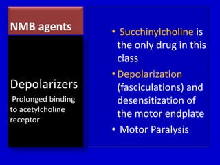 NMB agents • Succhinylcholine is 
the only drug in this 
class 
• Depolarization 
(fasciculations) and 
desensitization of 
the motor endplate 
• Motor Paralysis 
Depolarizers 
Prolonged binding 
to acetylcholine 
receptor 
 