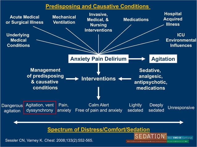 Sedation Algorithm Sedation and analgesia in icu | PDF
