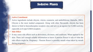 Sedative Plants
• Active Constituent
• Active ingredients include chrysin, vitexin, coumerin, and umbelliferone (Spinella, 2001).
Chrysin is the most studied component. Along with other flavonoids, chrysin has been
shown to bind to benzodiazepine receptors sites and acts as an agonist for GABA activity,
especially at A type GABA receptors.
• Side Effect
• It may cause side effects such as drowsiness, dizziness, and confusion. When applied to the
skin: There isn't enough reliable information to know if passion flower is safe or what the
side effects might be. Pregnancy : Passion flower is possibly unsafe when taken by mouth
during pregnancy.
 
