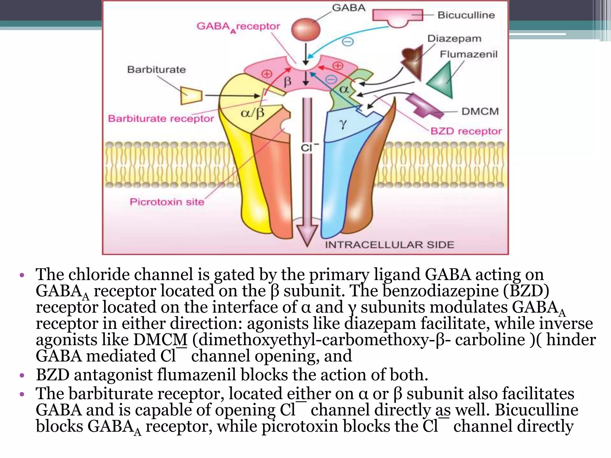 • The chloride channel is gated by the primary ligand GABA acting on
GABAA receptor located on the β subunit. The benzodiazepine (BZD)
receptor located on the interface of α and γ subunits modulates GABAA
receptor in either direction: agonists like diazepam facilitate, while inverse
agonists like DMCM (dimethoxyethyl-carbomethoxy-β- carboline )( hinder
GABA mediated Cl¯ channel opening, and
• BZD antagonist flumazenil blocks the action of both.
• The barbiturate receptor, located either on α or β subunit also facilitates
GABA and is capable of opening Cl¯ channel directly as well. Bicuculline
blocks GABAA receptor, while picrotoxin blocks the Cl¯ channel directly
 