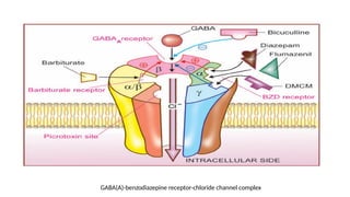 GABA(A)-benzodiazepine receptor-chloride channel complex
 