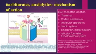 Barbiturates, anxiolytics- mechanism
of action BDZs receptors location
 Thalamus
 Cortex, cerebelum
 vestibular apparatus
 Limbic system,
 pinal brain, motor neurons
 reticular formation,
• hypothalamus system
•BDZs cause more frequent openings of the GABA-Cl-
channel via membrane hyperpolarization, and
increased receptor affinity for GABA.
•BDZs act on BZ1 (1 and ?2 subunit-containing)
and BZ2 (5 subunit-containing) receptors.

 