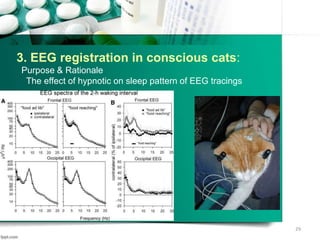 29
3. EEG registration in conscious cats:
Purpose & Rationale
The effect of hypnotic on sleep pattern of EEG tracings
 