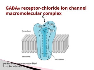 GABAA receptor-chloride ion channel
macromolecular complex
pentameric structure assembled
from five subunits
 