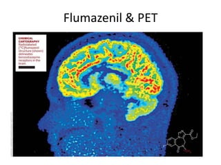 Flumazenil & PET
 