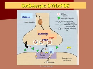 Dr. Majdi BkhaitanDr. Majdi Bkhaitan
GABAergic SYNAPSEGABAergic SYNAPSE
GABA
glutamate
glucose
Cl
-
GAD
 