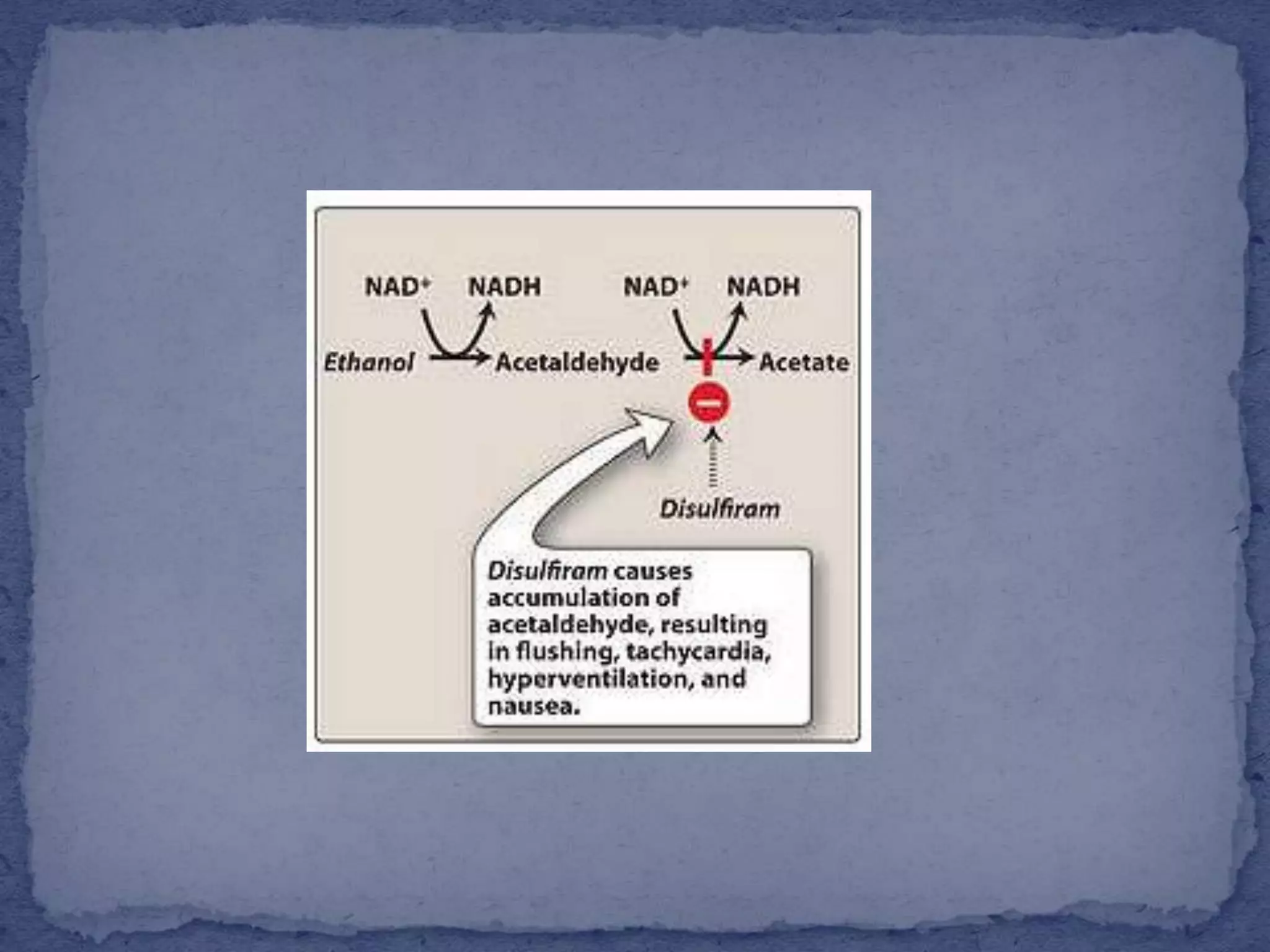 Sedatives and hypnotics (1)