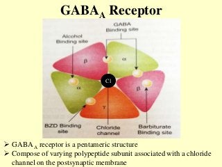 GABAA Receptor
Cl-
Cl
 GABA A receptor is a pentameric structure
 Compose of varying polypeptide subunit associated with a chloride
channel on the postsynaptic membrane
 