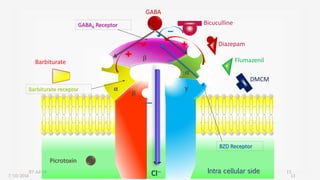 α γ
α
β
GABA
Bicuculline
Diazepam
Intra cellular side
Flumazenil
DMCM
Barbiturate
GABAA Receptor
Barbiturate receptor
BZD Receptor
Cl--
Picrotoxin
7/10/2014 13
β
07-Jul-14 13
 