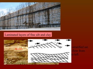 SEDIMENTARY ROCKS: are the secondary rocks which are formed from the ...