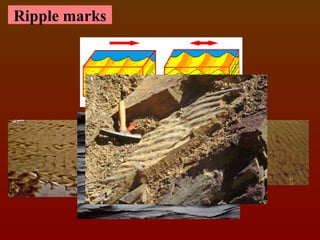SEDIMENTARY ROCKS: are the secondary rocks which are formed from the ...