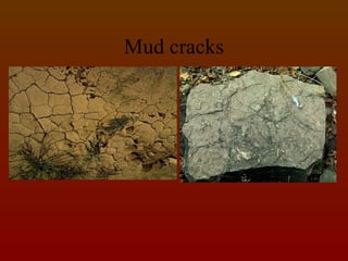SEDIMENTARY ROCKS: are the secondary rocks which are formed from the ...