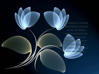 On cherche à chasser l’obscurité par la force, au lieu de laisser simplement entrer le soleil de l’âme qui dissiperait les noirs fantômes qui ne peuvent subsister que dans les ténèbres. 