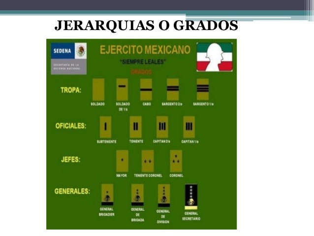 Sedena Ssa Semar Sedena Ssa Semar