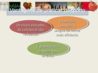 O coração bombeia o sangue de forma mais eficiente Os níveis elevados de colesterol são reduzidos É promovida a limpeza das artérias 