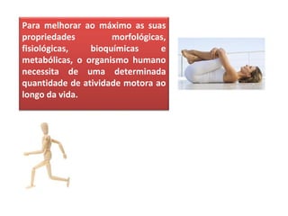 Para melhorar ao máximo as suas
propriedades morfológicas,
fisiológicas, bioquímicas e
metabólicas, o organismo humano
necessita de uma determinada
quantidade de atividade motora ao
longo da vida.
 