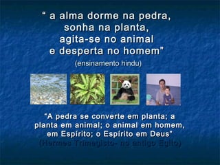 ““ a alma dorme na pedra,a alma dorme na pedra,
sonha na planta,sonha na planta,
agita-se no animalagita-se no animal
e desperta no homem”e desperta no homem”
(ensinamento hindu)(ensinamento hindu)
““A pedra se converte em planta; aA pedra se converte em planta; a
planta em animal; o animal em homem,planta em animal; o animal em homem,
em Espírito; o Espírito em Deus”em Espírito; o Espírito em Deus”
(Hermes Trimegisto- no antigo Egito(Hermes Trimegisto- no antigo Egito ))
 