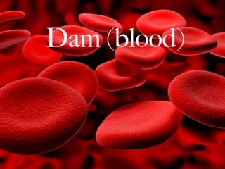 `
Dam (blood)
 
